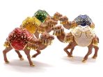 Cash Flow Camels