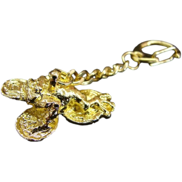 Feng Shui Money Frog Keychains