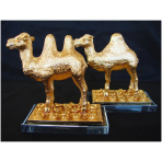 Pair of Golden Camels-pair of Camel