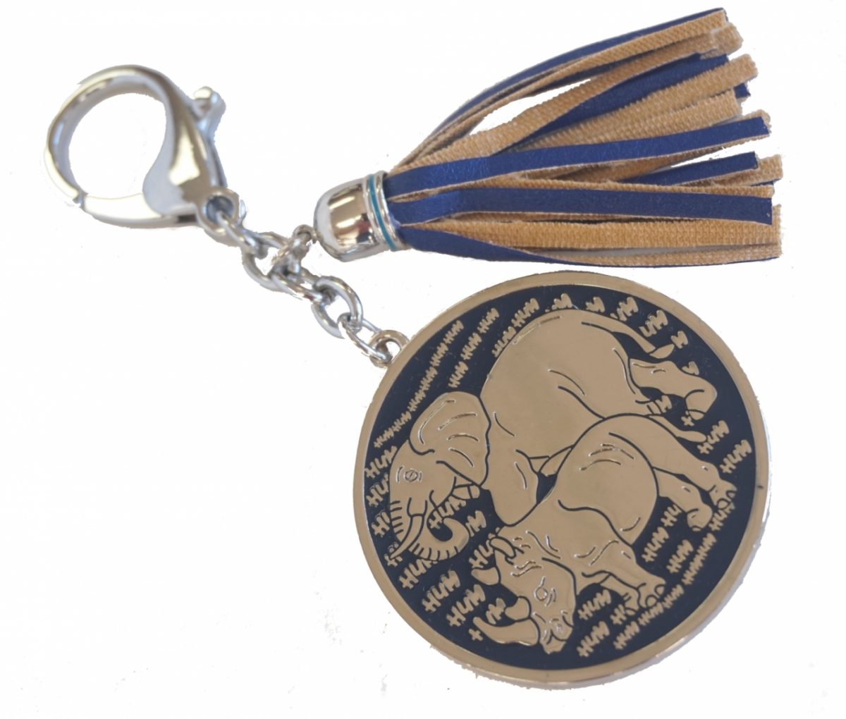 Anti Burglary Keychain