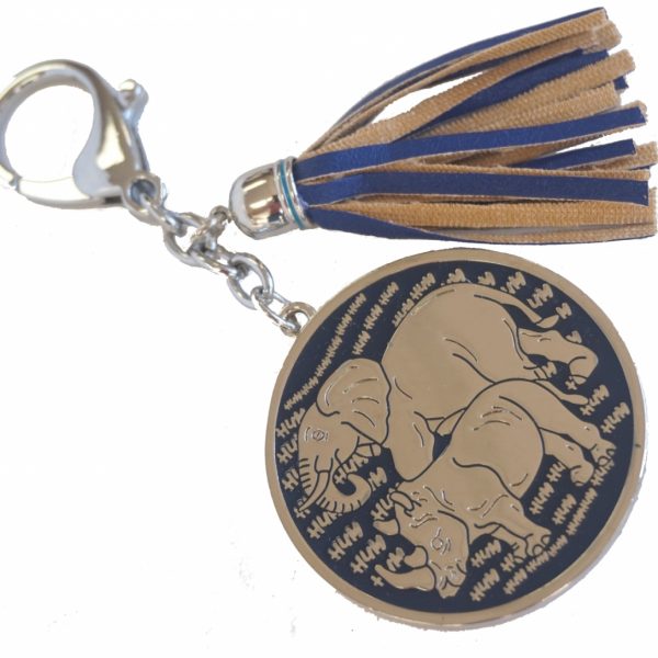 Anti Burglary Keychain
