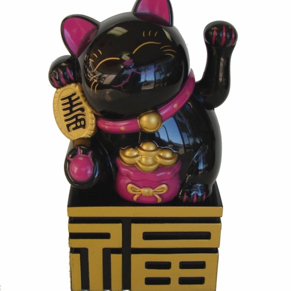 Black Money Cat on Fu