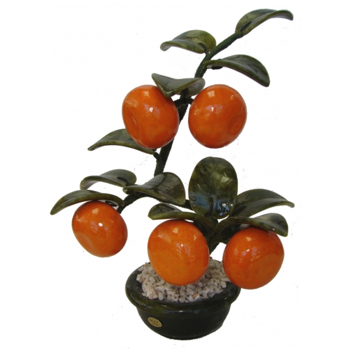 Jade Tangerine Plant