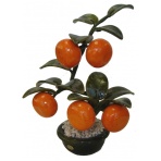 Jade Tangerine Plant