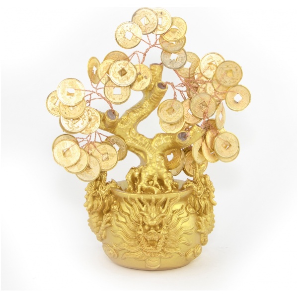 Money Tree with Dragon Pot