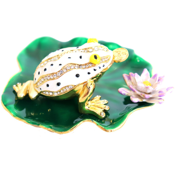 Lucky Money Frog on Waterlily Leaf